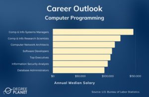 Computer Programming Careers And Salaries 5 300x195 